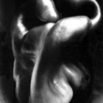 Edward-Weston-Poivron N°30