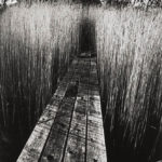 Jeanloup Sieff - La Maison Noire