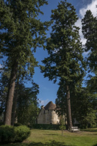 Château d'Harcourt (Eure, 27) - Château dans les pins