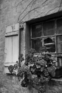 Xaronval, village 1900 - Fleurs devant une fenêtre brisée